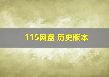 115网盘 历史版本